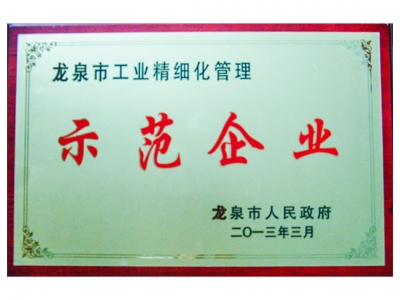 龍泉市工業(yè)精細(xì)化管理示范企業(yè)