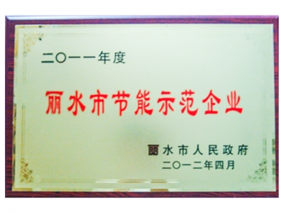 2011年度麗水市節(jié)能示范企業(yè)