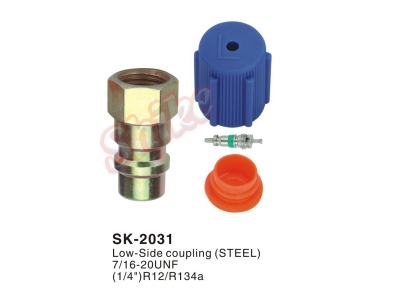 SK-2031